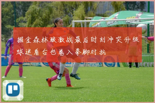 掘金森林狼激战最后时刻冲突升级球迷看台也卷入拳脚对抗