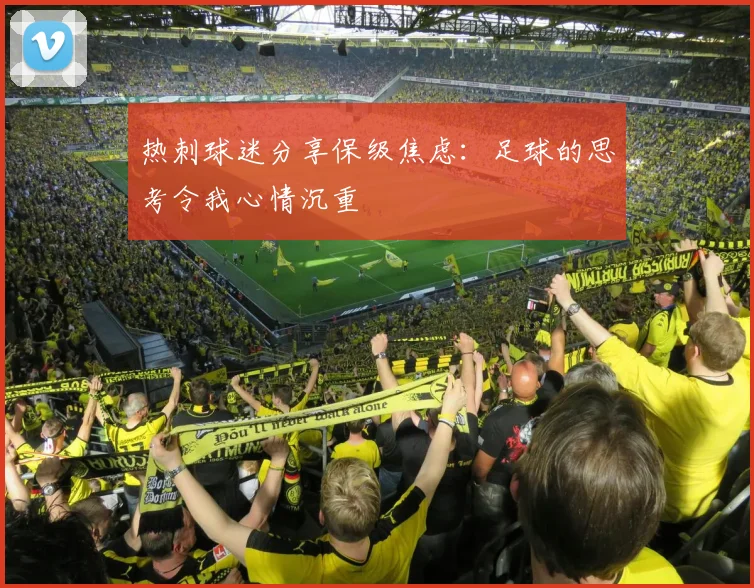热刺球迷分享保级焦虑：足球的思考令我心情沉重
