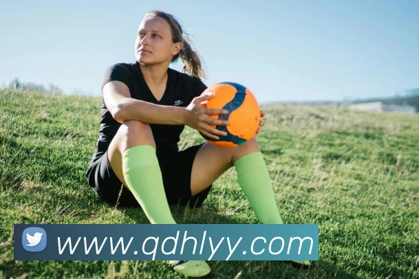 App Interface Preview